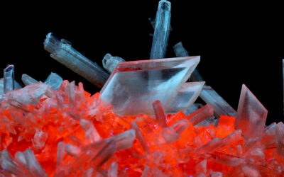 SC1307 – Selenite on Halite from the Bleicherode Potash Works, Germany