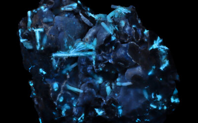 SC1340 – Carpathite from the Picacho Mine, California, USA