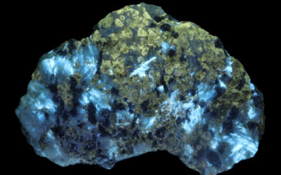 SC1316 – Holtite and Polylithionite from Vasin-Myl’k Mt, Russia