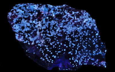 Caracolite