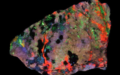 SC1353 – Nasonite & Prehnite from the Franklin Mine, NJ